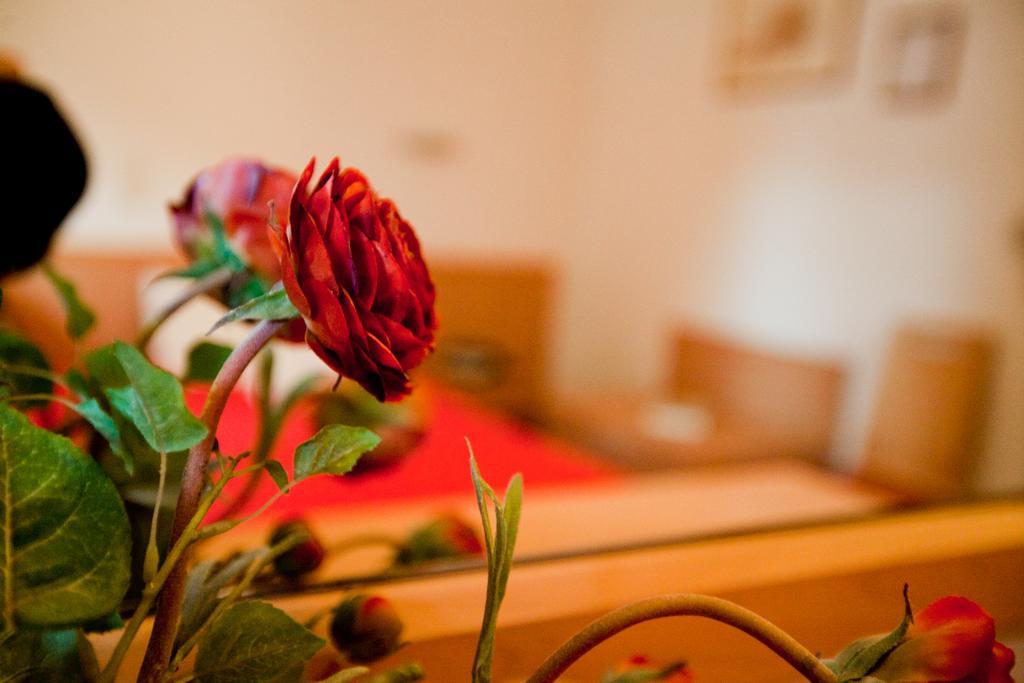 Hotel Possidon Aegina Quarto foto